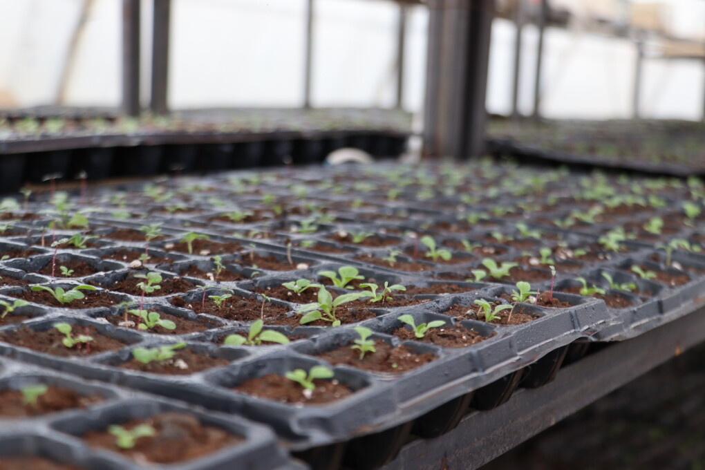 image-15-04-26-09-44