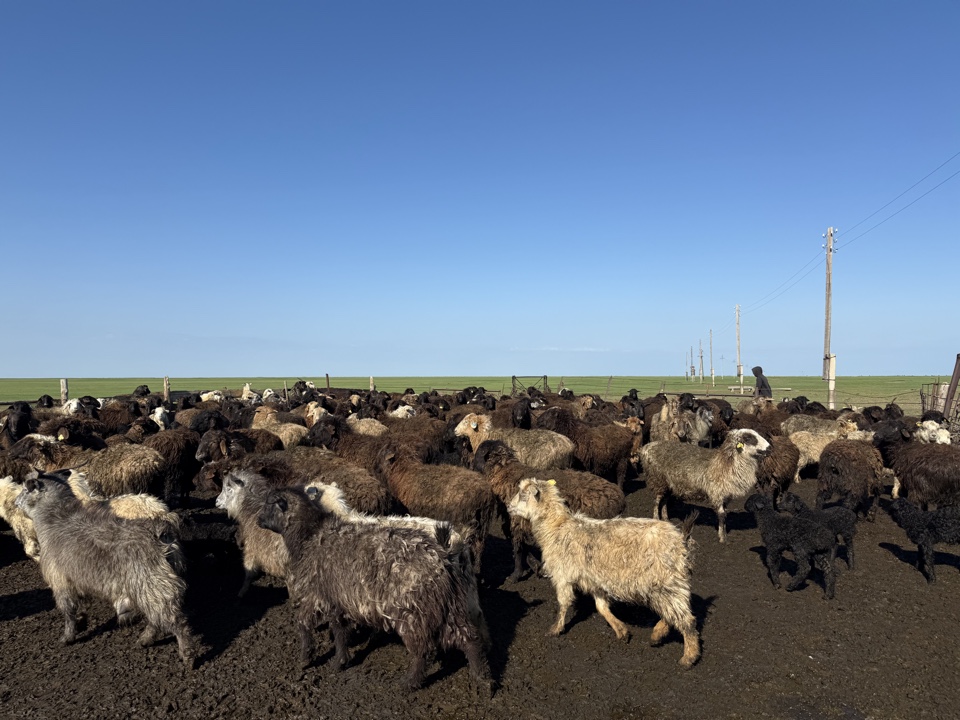 image-17-04-26-12-44-1