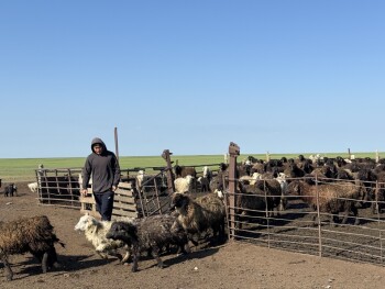 image-17-04-26-12-44-2