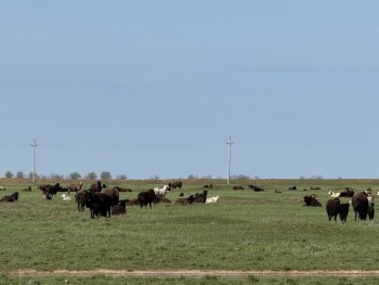 image-17-04-26-12-46-2