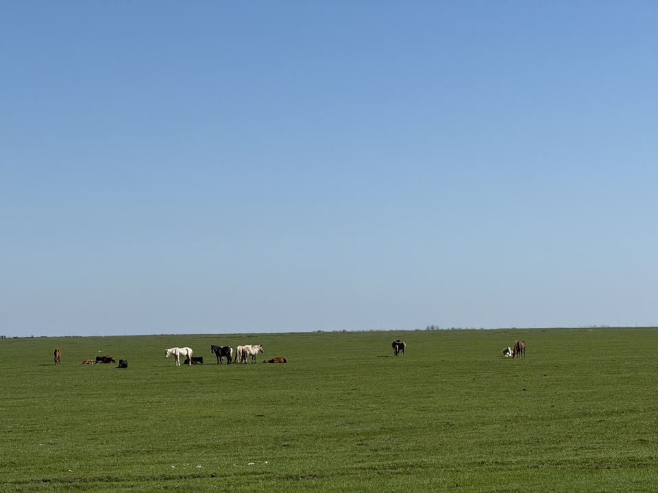 image-17-04-26-12-46