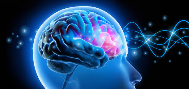 Male head with brain activity - Brain waves - X ray 3D illustration