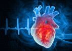 Ғалымдар жүрек қатерлі ісігінің неге сирек кездесетінін анықтады