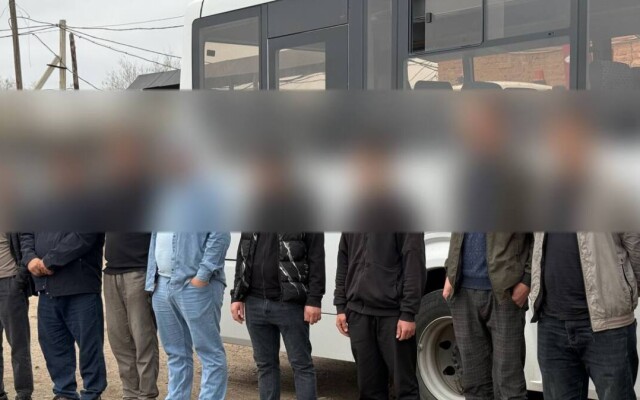 Заң бұзған шетелдіктер елден шығарылды