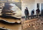 БҚО-да заңсыз балық тасымалдаған күдіктілер анықталды