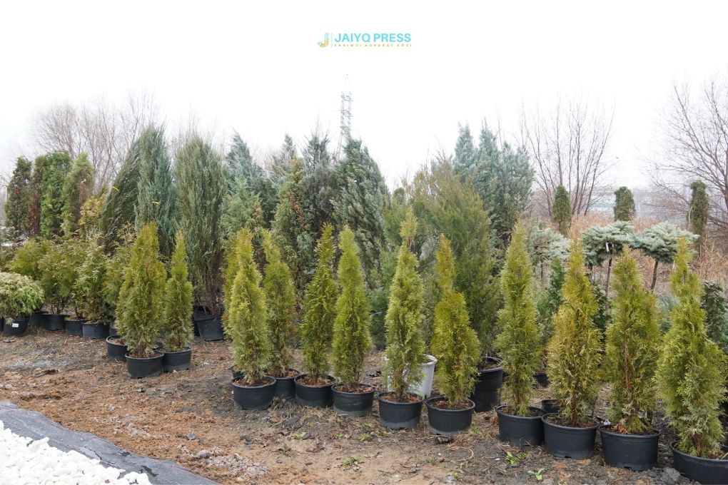 zhp-botanicheskij-sad-202505