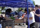 Оралда мерекелік ауыл шаруашылығы жәрмеңкесі өтті