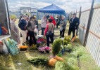 Сырымда берекенің базары ашылды