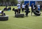 В рамках проекта 