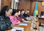 Заседание консультативно-совещательного органа состоялось в ДП ЗКО