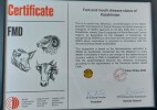 Қазақстан Орталық және Шығыс Азия елдері арасында аусыл ауруынан таза ел мәртебесін алған жалғыз мемлекет атанды
