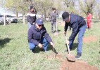 В Каратобинском районе сельчане высадили плодовые деревья
