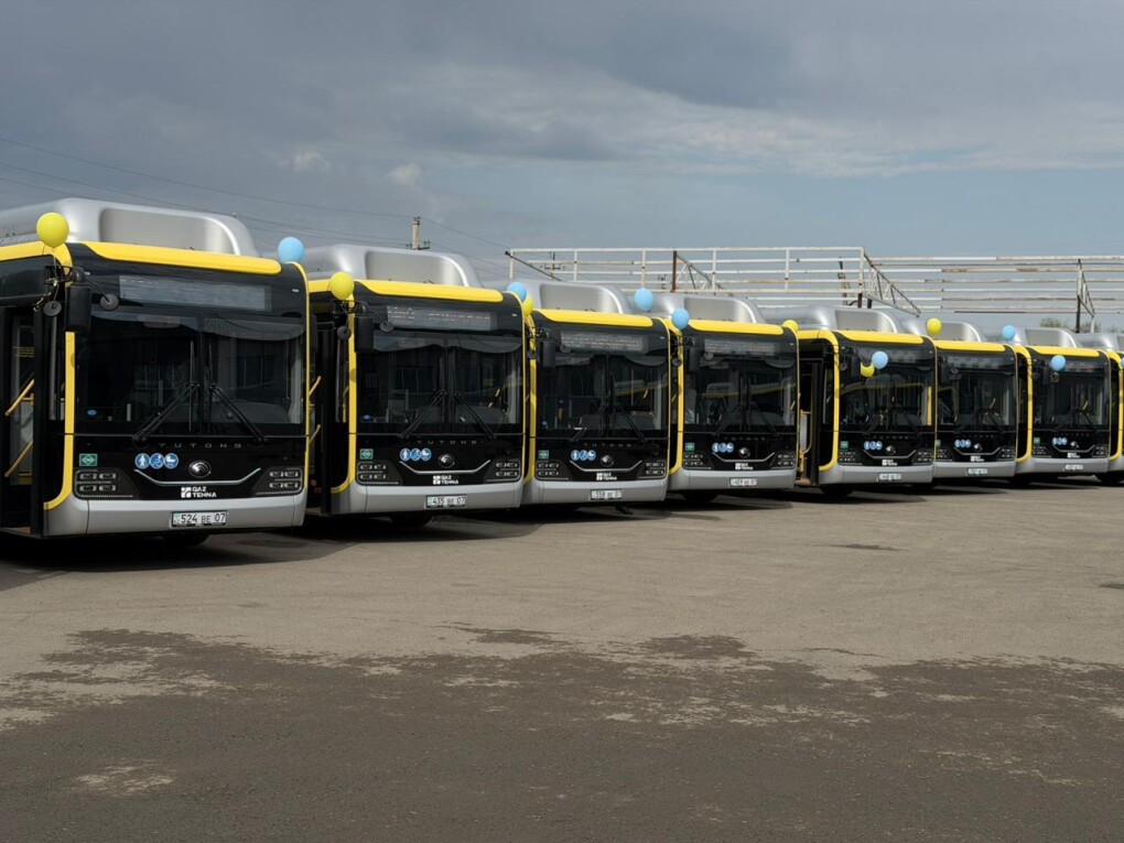 автобусы (1)
