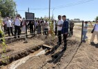 Пятимар ауылындағы мектептің түлектері көшет тікті