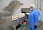 Қазақстан алғаш рет балмұздақтың нетто-экспорттаушысы атанды