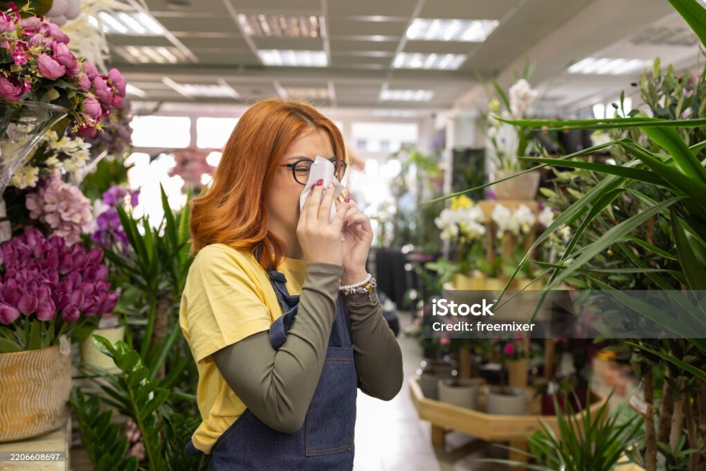Young woman with allergy symptoms blowing nose in white tissue while working in flower shop