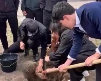обр - посадка деревьев (2)