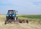 Қыстың қамы жаздан: шаруалар жем-шөп дайындауға кірісті