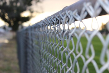 57armadillo-chain-link-6931428_1920