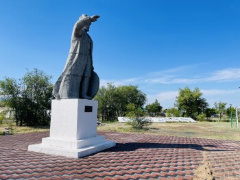 IMG_1829