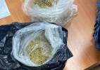 Оралда қызметтік ит тағы да тыйым салынған затты анықтауға көмектесті