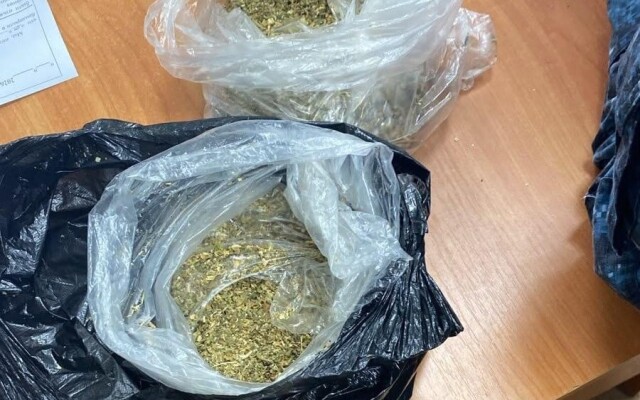 Служебная собака в очередной раз помогла выявить вещество в учреждении УИС Уральска