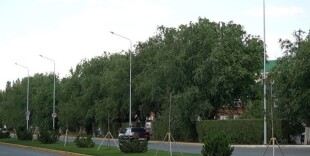 Аким ЗКО ознакомился с модернизацией освещения улицы в Уральске