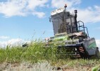 Аким ЗКО посетил посевные площади крестьянского хозяйства Бокейординского района