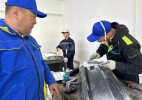 Диплом қуған дәурен бе...