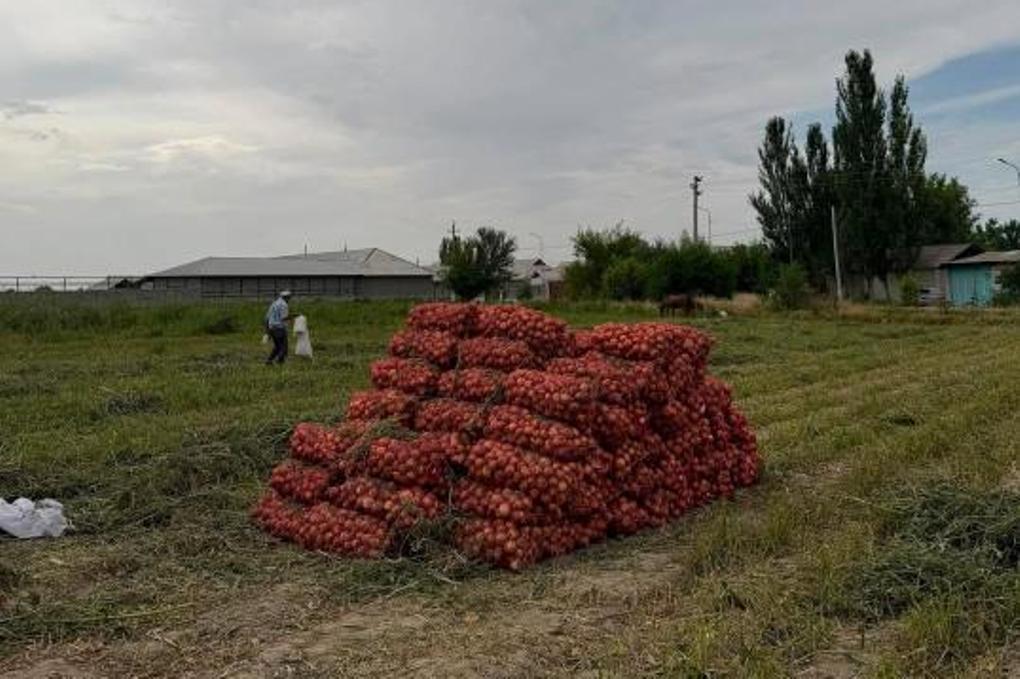 _gluster_2026_6_12_97ef0e9a8ff3bcc3c49844992436a757_1280x720