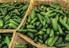 Фитосанитариялық талаптардың сақталмауына байланысты 6 тонна жаңа піскен қияр Ресей Федерациясына кері қайтарылды