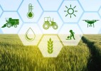 Топырақтың шамадан тыс ылғалдануы тәуекелінен егістікті сақтандыруға өтінім қабылдау жалғасуда