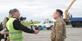 В Казахстан прибыла очередная партия лошадей Пржевальского