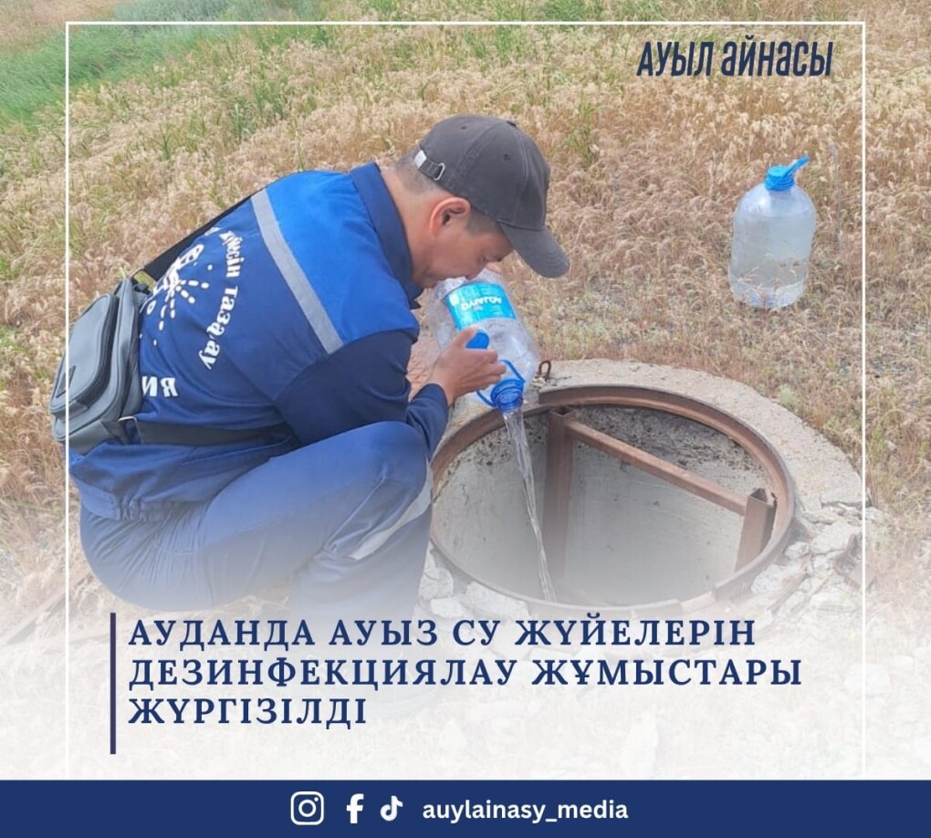 image-11-06-26-12-17-2