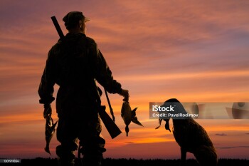 silhouettes of the duck hunter and his dog with prey on the sunset background