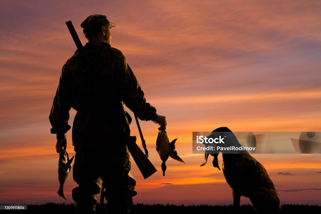 silhouettes of the duck hunter and his dog with prey on the sunset background