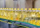Масложировая отрасль Казахстана за четыре года увеличила экспортную выручку в четыре раза