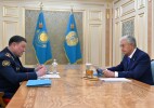Глава государства принял министра внутренних дел Ержана Саденова