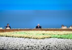 Глава государства провел 38-е пленарное заседание Совета иностранных инвесторов