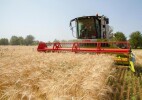 В Казахстане стартовала уборочная кампания