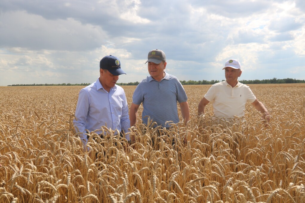 32eae656-9798-4edb-8bbb-92b6028565b3