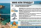 Миф или правда? «После отдыха можно не убирать за собой мусор — ничего страшного не произойдет»