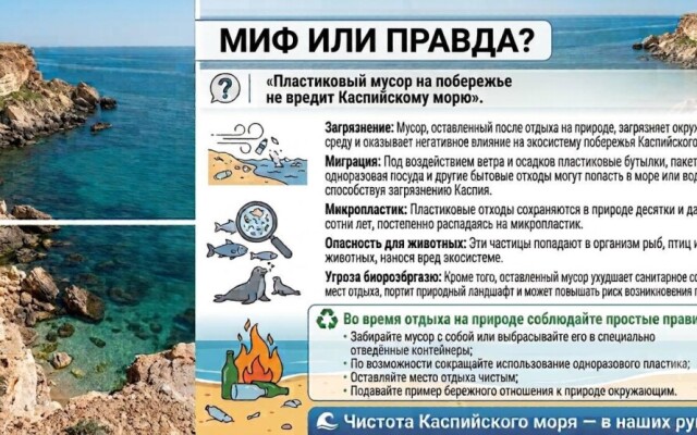 Миф или правда? «После отдыха можно не убирать за собой мусор — ничего страшного не произойдет»