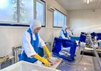 Балық шаруашылығы саласына 60 миллиард теңге инвестиция құйылады
