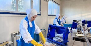 Балық шаруашылығы саласына 60 миллиард теңге инвестиция құйылады