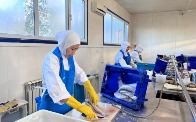 Балық шаруашылығы саласына 60 миллиард теңге инвестиция құйылады