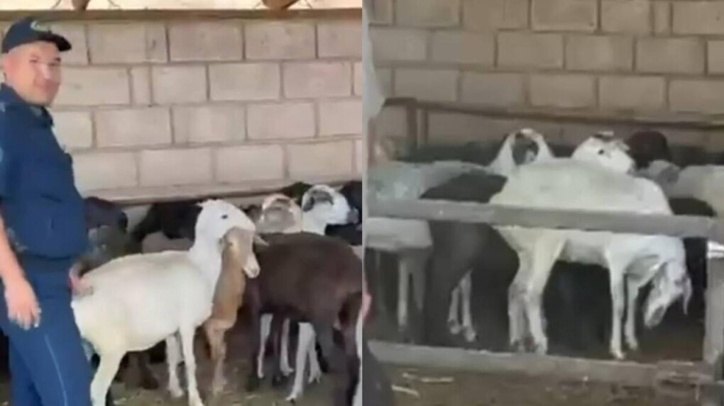 724a2f53c0c6492ad1a08def368c9d3a_1280x720