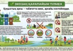 Экозаң қарапайым тілмен