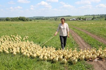 Диана Шалабаева (1)