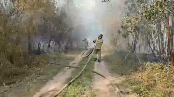 Screenshot_20260728_084047